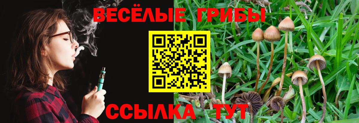 Галлюциногенные грибы Magic Shrooms Горячий Ключ