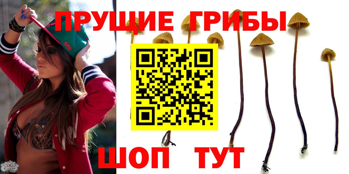 Псилоцибиновые грибы прущие грибы  Вход с VPN  Горячий Ключ  Псилоцибиновые грибы прущие грибы 