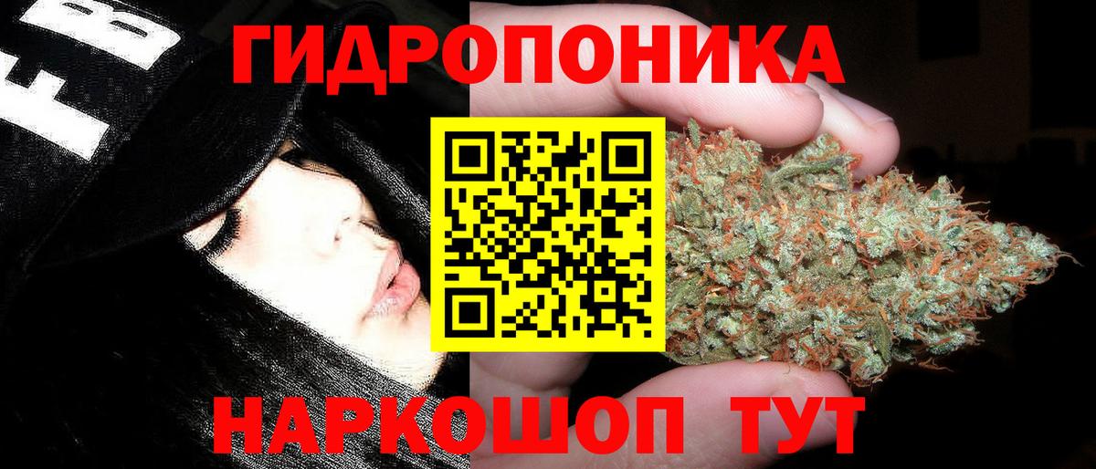 Каннабис сатива Горячий Ключ